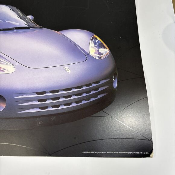 1999 Ron Kimball Spyder Photo Print Poster with Web Background. Rare 24x18” - Picture 3 of 8